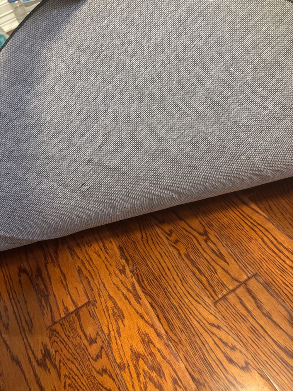 Drew House Rug NWOT - Picture 3 of 3
